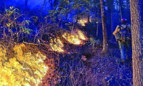 U.S. Forest Service crews battle a wildfire that started in the Chattahoochee-Oconee National Forest. 