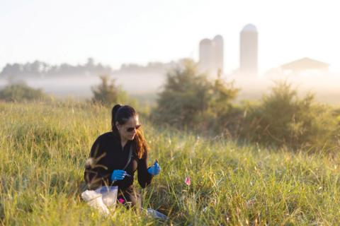 Dr. Rada Petric explores the world of  back-yard bats (courtesy UNC endeavors).
