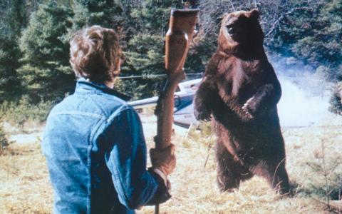 Film Fest: A Grizzly Scene