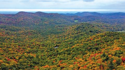 HCLT protects over 100 acres