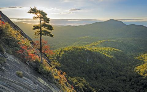 Over 100 acres on Whiteside Mountain have been preserved for future generations to enjoy.  |  Photo courtesy of Highlands-Cashiers Land Trust