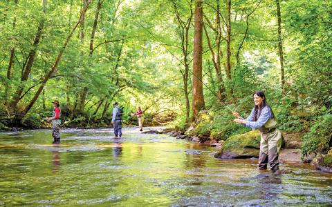Anglers fish for trout along the riverbank of a hatchery-supported stream in Western North Carolina.  |  Photo by C2 Photography/VisitNC.com