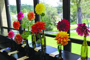Planning for the 2020 Highlands Historical Society Dahlia Festival is underway.