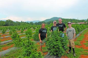 Photo by Christopher Lugo/Staff Appalachian Growers owners Lori Lacey and Steve Yuzzi with farm managers Noah Miller and Josh Brandes. 