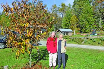 Photo by Christopher Lugo/Staff American Chestnut Foundation president Lisa Thomson visited the 73-acre farm of Highlands local Sallie Smith seven years after giving seedlings to Smith. 
