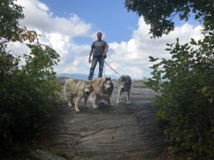 CHHS executive director David Stroud with his three senior dogs Hemi, 12, Max, 13, and Sabre, 14, at Sunset Rock. 
