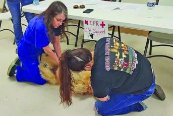 A pet CPR class will be offered at the Sky Valley-Scaly Mountain Volunteer Fire Department on Saturday, Aug. 19.