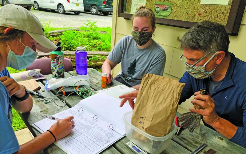 Researchers working at the Highlands Biological Station worked to band several species of birds so they can be identified, tracked and studied.