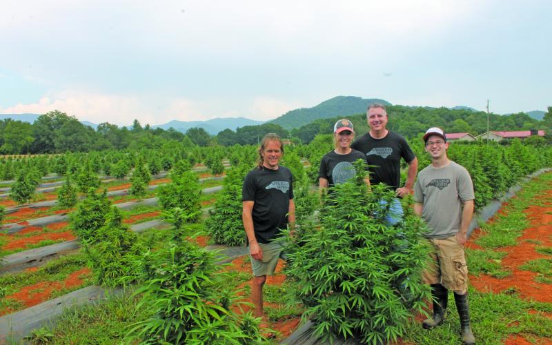 Photo by Christopher Lugo/Staff Appalachian Growers owners Lori Lacey and Steve Yuzzi with farm managers Noah Miller and Josh Brandes. 