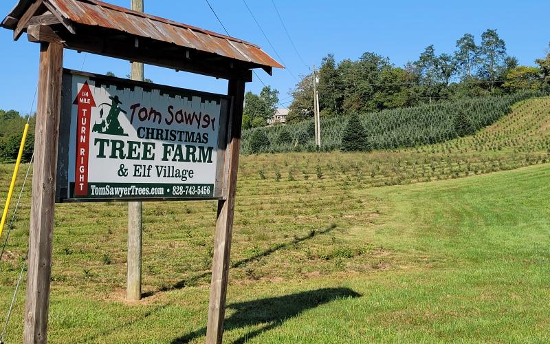 Photo by Michael O’Hearn/Crossroads Chronicle Tom Sawyer’s Christmas Tree Farm and Elf Village, located at 240 Chimney Pond Road, announced on social media on Sept. 9 that they will not be open this year.