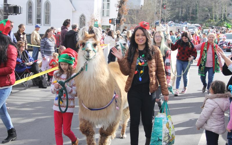 Photo by Christopher Lugo/Staff Karla Magaña-Almanza with a llama during the parade. 