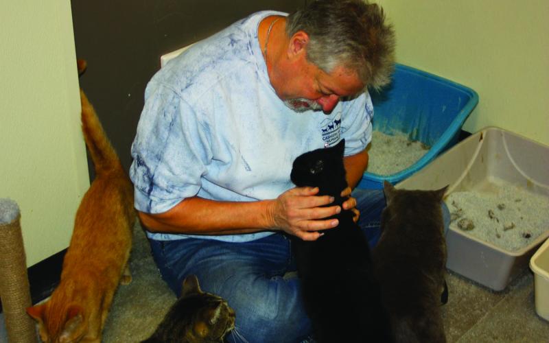 Photo by Kaylee Cook/Staff CHHS executive director David Stroud pets a shelter cat. 