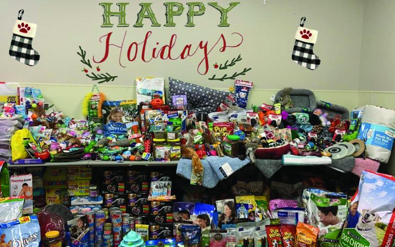 The staff at CHHS are stuffing stockings for shelter pets this holiday season.